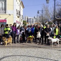 Cãominhada solidária pela adoção e bem-estar animal